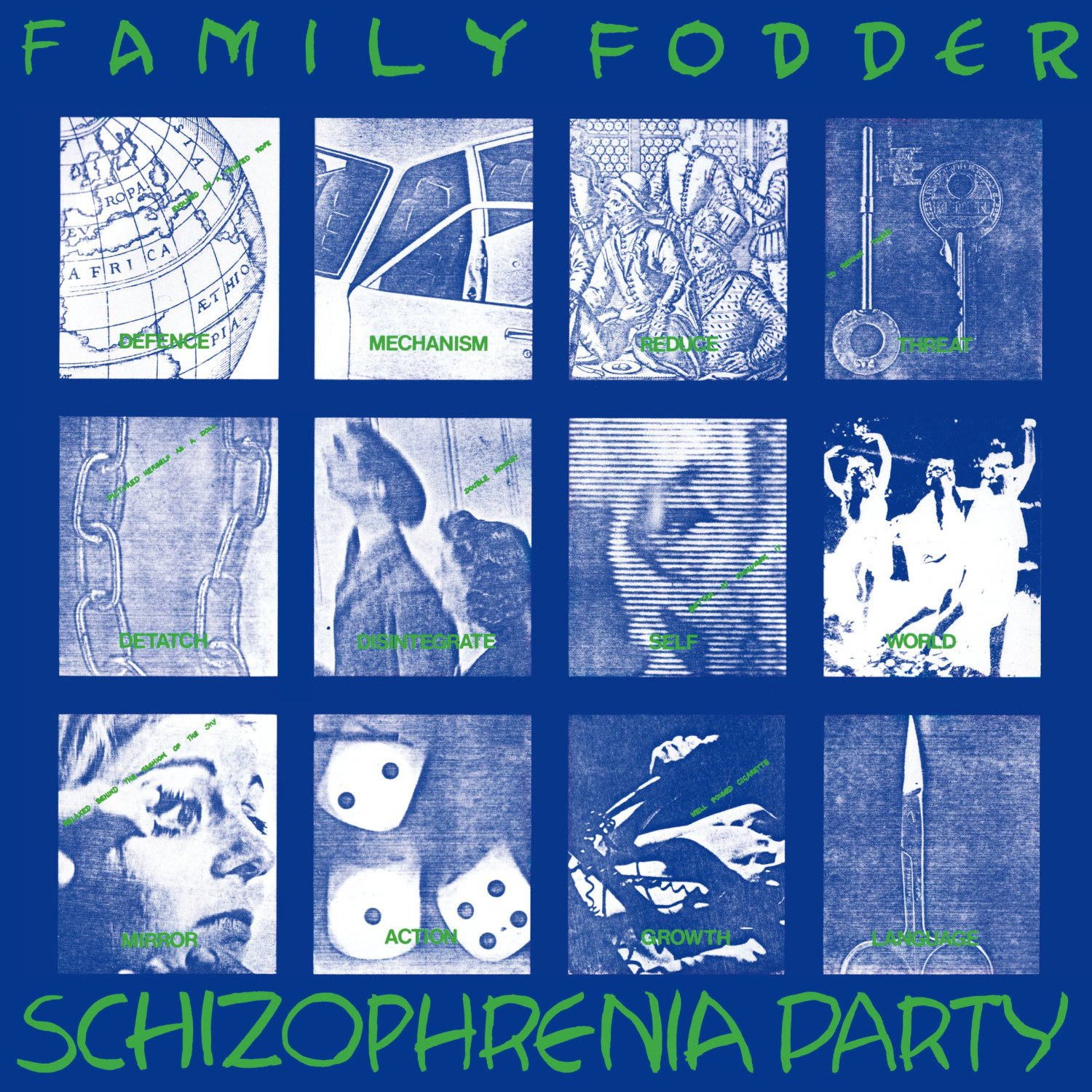 Schizophrenia Party (Director’s Cut) / Family Fodderのジャケット