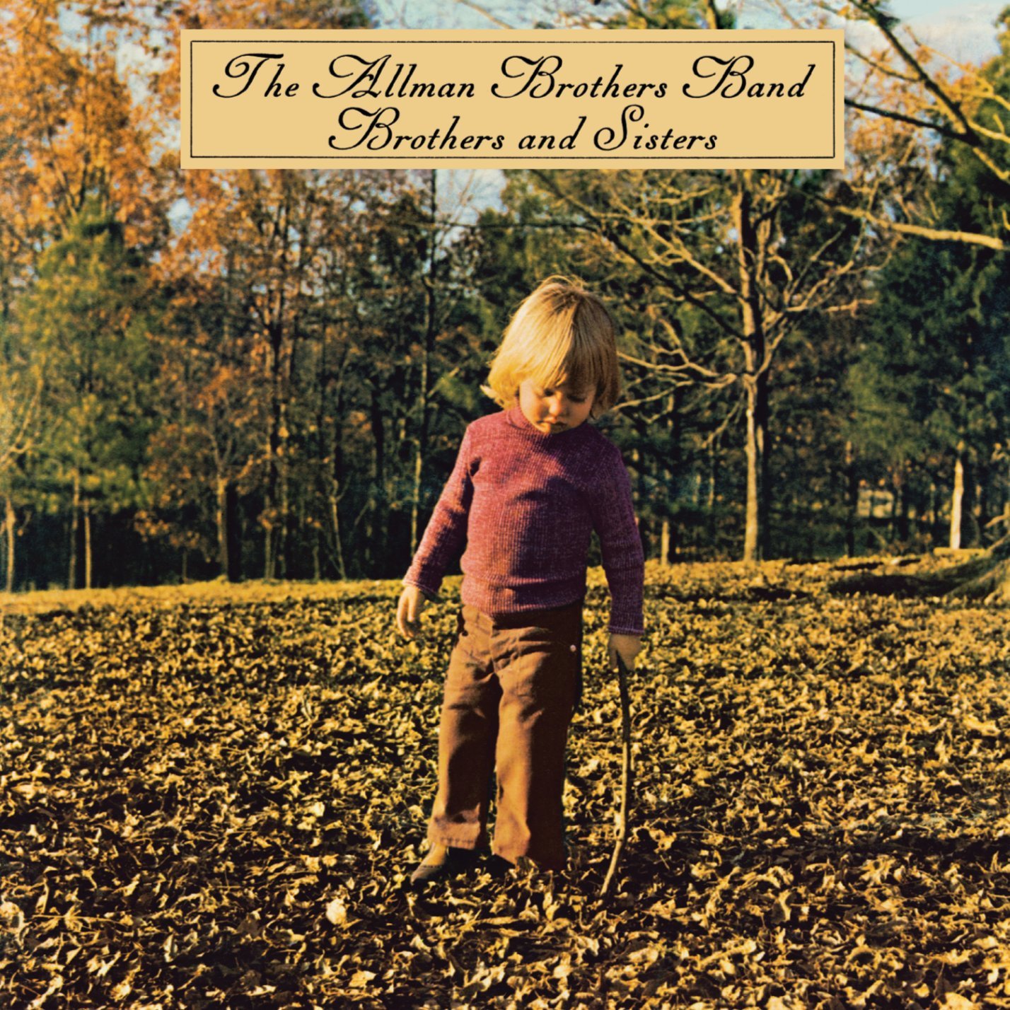 Brothers & Sisters / The allman brothers bandのジャケット